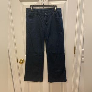 Citizens of Humanity Birkin Stretch Low-Waist Wide Leg Jean Sz 27